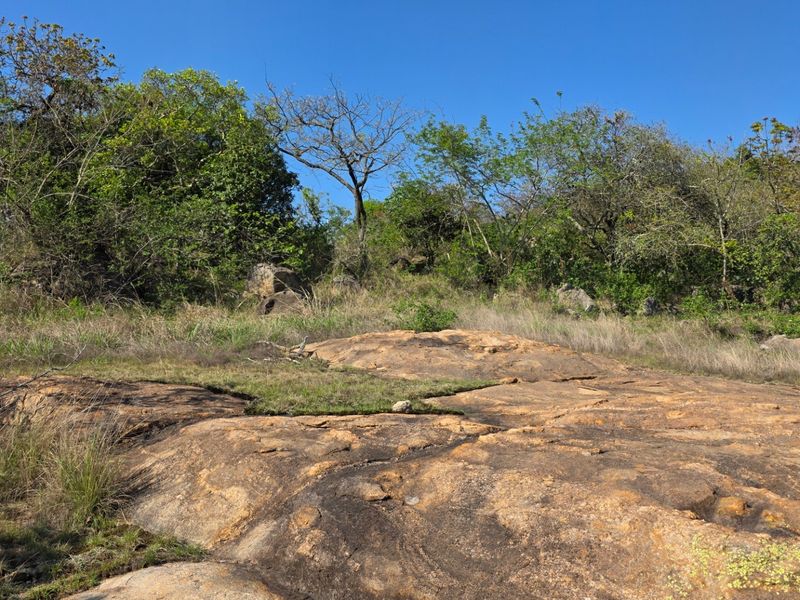A view of the vacant residential land featuring natural rock formations and established native vegetation on a sloped terrain.