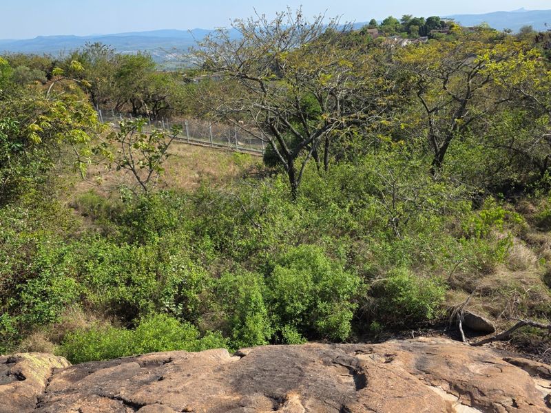 A scenic view overlooking a sloped residential plot featuring natural rock formations, dense indigenous vegetation, and perimeter fencing.