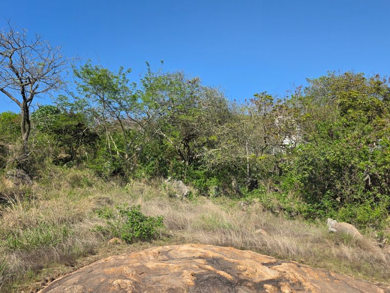 A view of a vacant residential plot featuring natural rock formations and established indigenous vegetation under a clear blue sky.