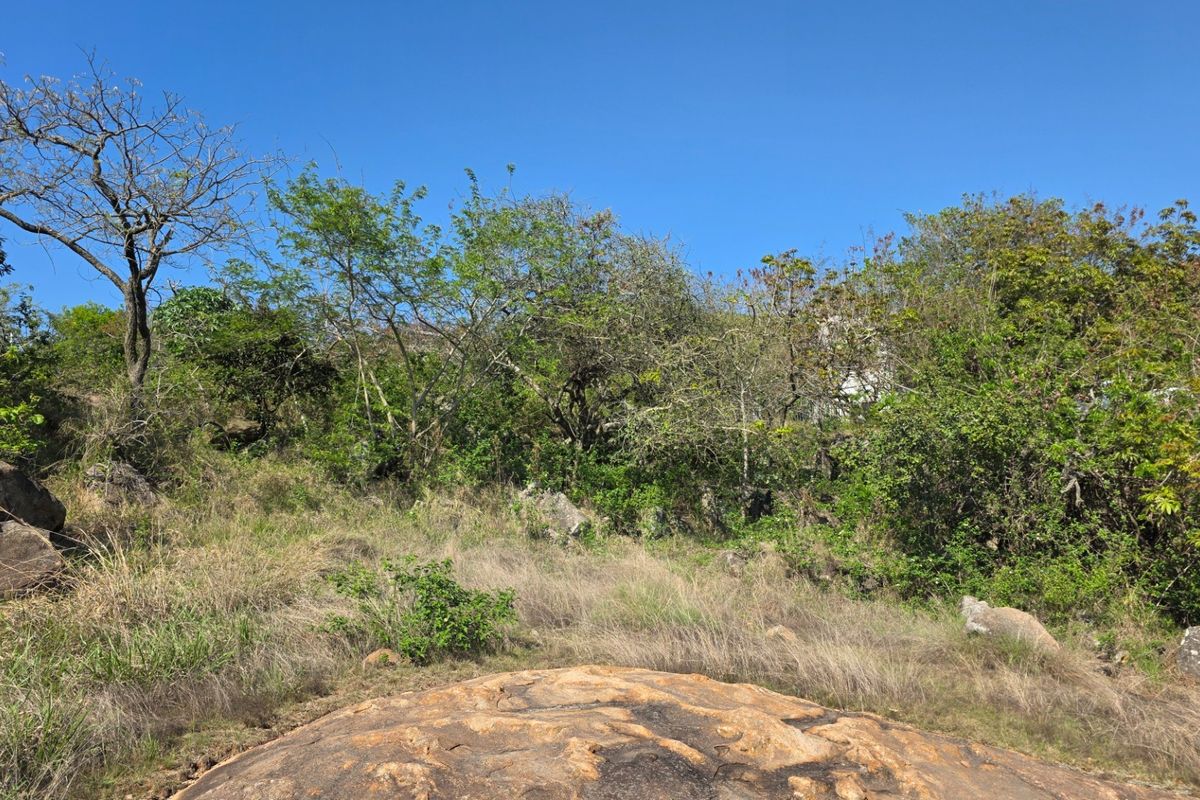 A view of a vacant residential plot featuring natural rock formations and established indigenous vegetation under a clear blue sky.
