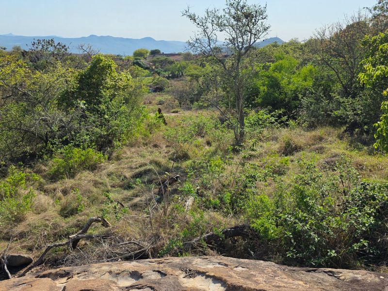 A scenic view of the natural landscape featuring native vegetation, rocky terrain, and distant hills, showcasing the property's natural surroundings.