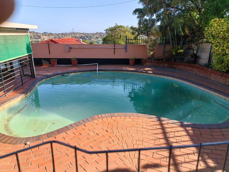 Outdoor pool area featuring a curved swimming pool with brick paving surround and a perimeter boundary wall.