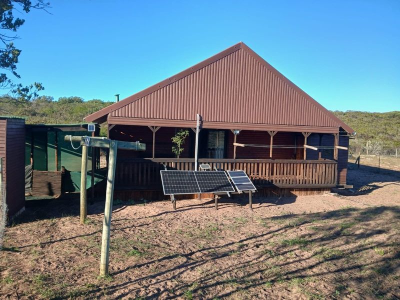 Rear view of a timber-clad cabin featuring a covered deck, corrugated metal roof, and ground-mounted solar panel array.