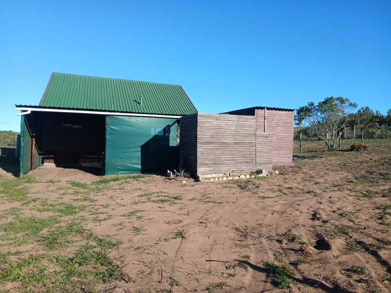 Rear view of a rustic outbuilding featuring a green corrugated metal roof and timber cladding, set on a large, undeveloped sandy plot.