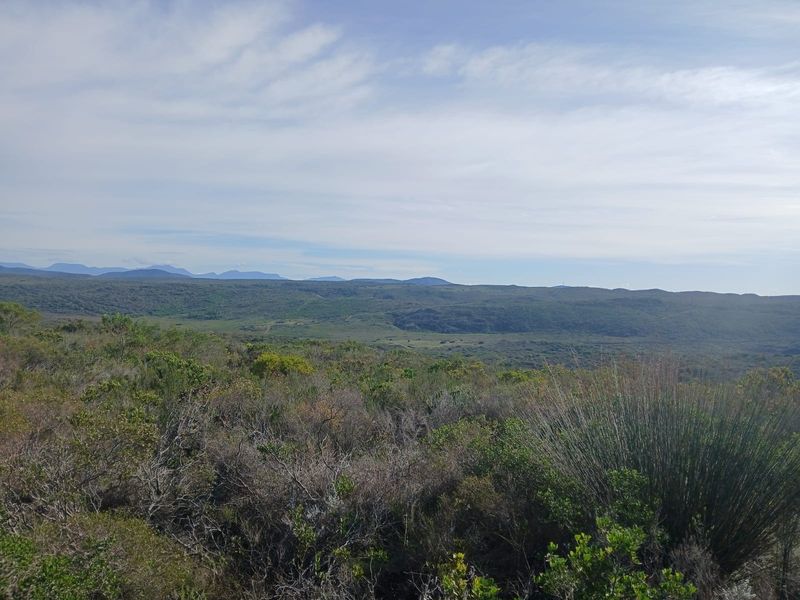 A scenic landscape view showcasing expansive natural terrain, rolling hills, and distant mountain ranges under a clear sky.