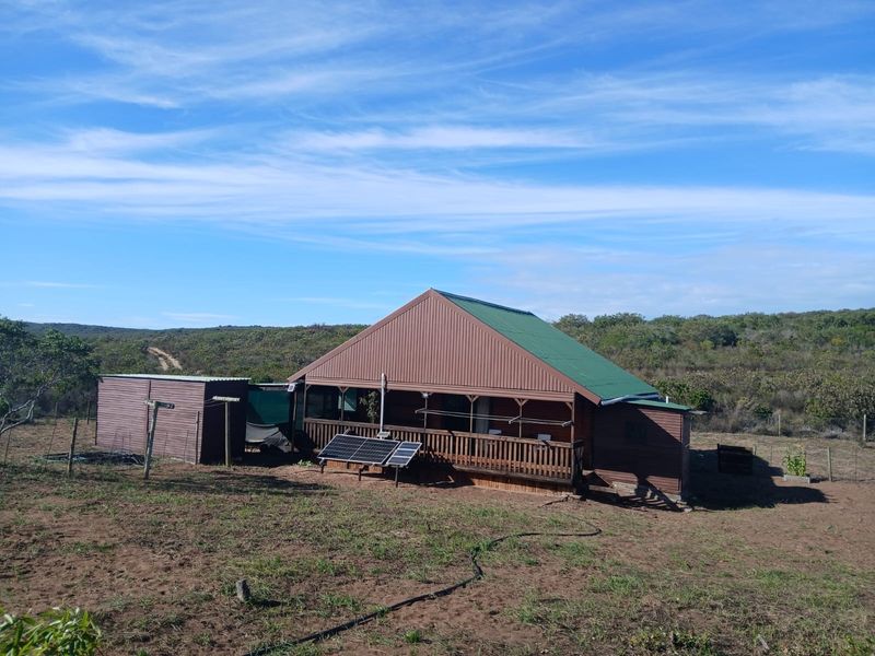 A detached timber-clad house featuring a green corrugated metal roof, a wrap-around timber deck, and integrated solar panels set in a rural landscape.