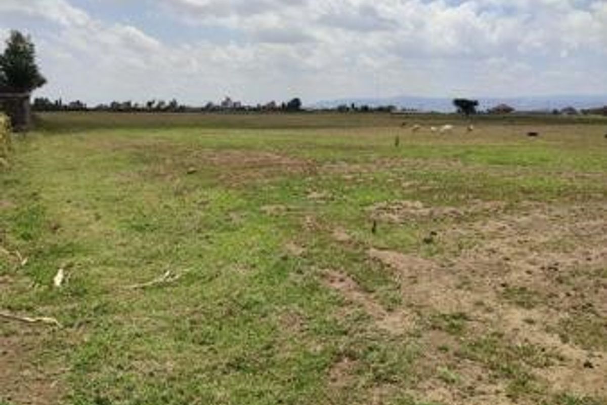 An expansive, undeveloped plot of land featuring open grass and natural terrain, offering significant potential for future development or landscaping.