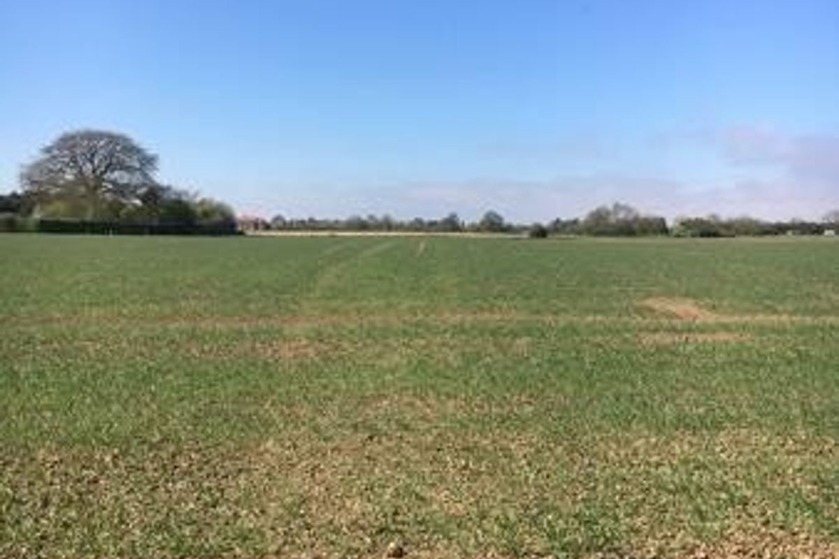 An expansive view of open agricultural land and fields under a clear blue sky.