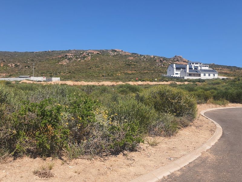 A view of the vacant residential land featuring natural indigenous vegetation, adjacent to a paved road with established kerbing in a coastal setting.