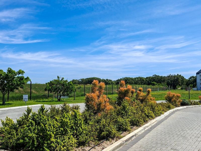 A view of the property's paved driveway and landscaped garden beds, featuring neat concrete curbing and perimeter fencing under a clear blue sky.