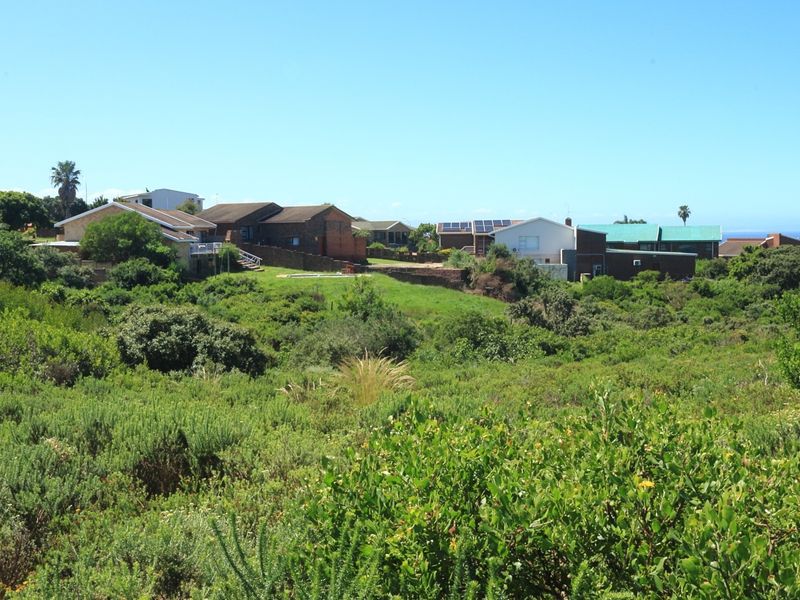 A wide-angle view of a residential neighborhood surrounded by natural coastal vegetation, showcasing the surrounding landscape and local housing context.