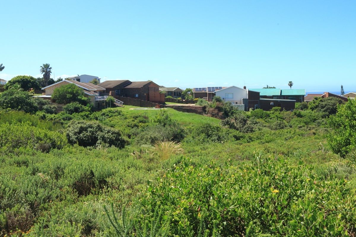 A wide-angle view of a residential neighborhood surrounded by natural coastal vegetation, showcasing the surrounding landscape and local housing context.