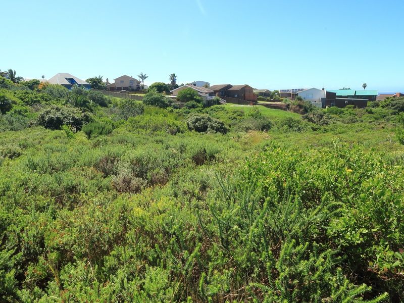 A view of a vacant residential plot covered in indigenous vegetation, situated in a developed neighbourhood.