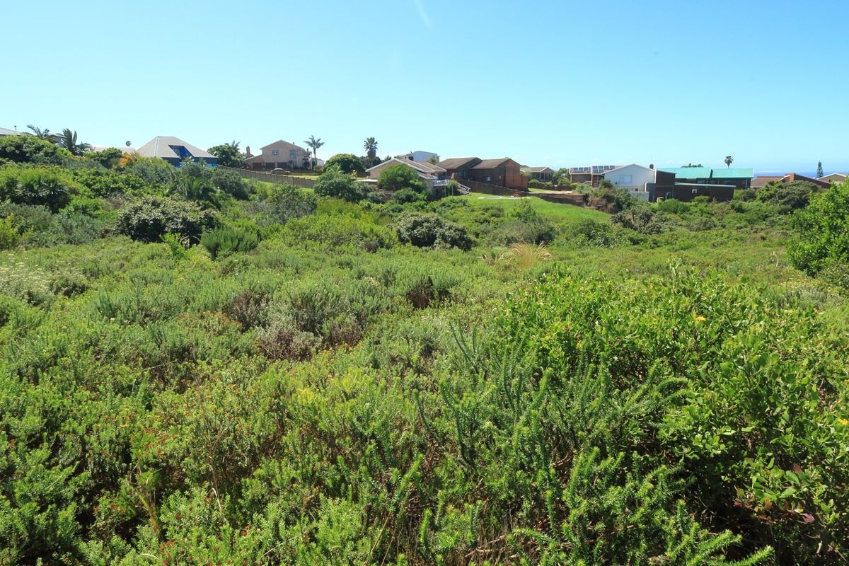 A view of a vacant residential plot covered in indigenous vegetation, situated in a developed neighbourhood.