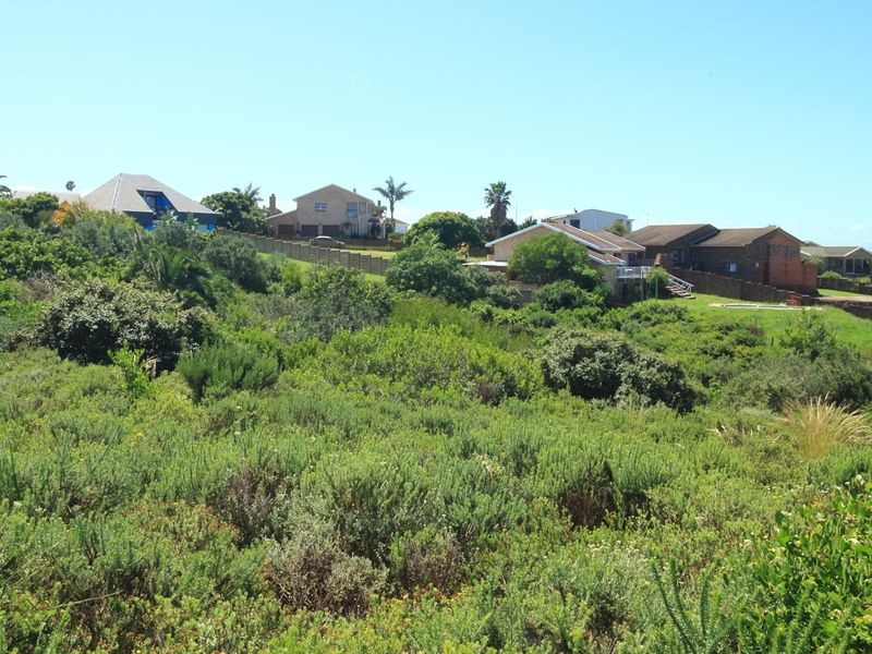 A view of the vacant residential land featuring natural sloped terrain and established indigenous vegetation with surrounding neighborhood properties in the background.