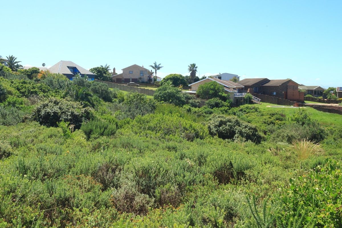 A view of the vacant residential land featuring natural sloped terrain and established indigenous vegetation with surrounding neighborhood properties in the background.