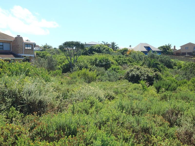 A view of a vacant residential plot covered in dense indigenous vegetation, situated within an established suburban neighborhood.