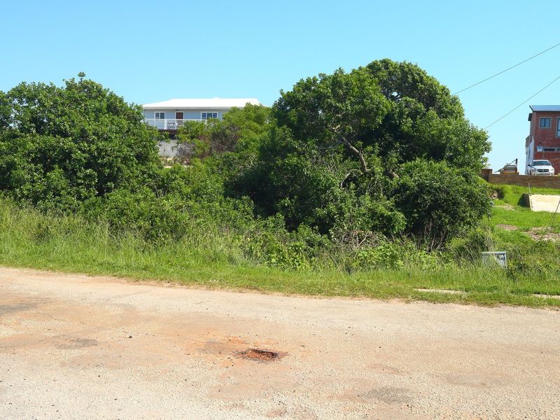 Street view of a vacant residential plot featuring natural vegetation and an adjacent utility pole.