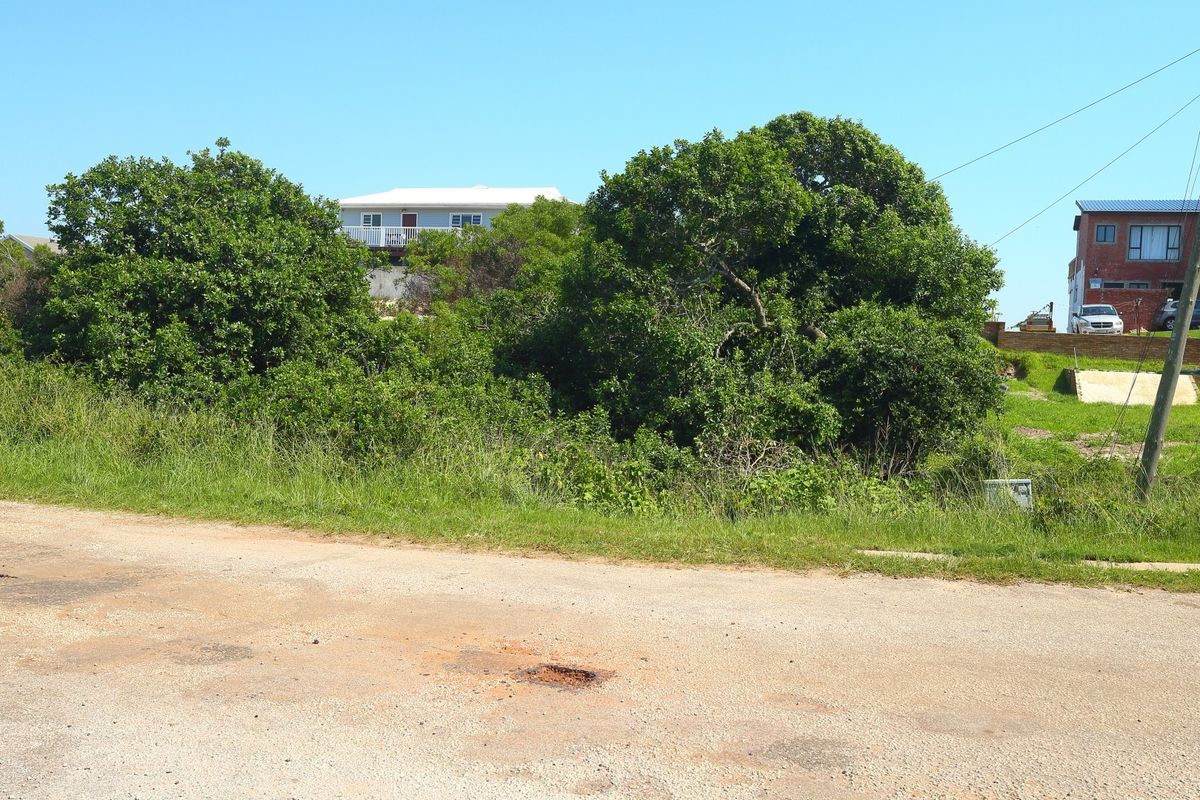 Street view of a vacant residential plot featuring natural vegetation and an adjacent utility pole.