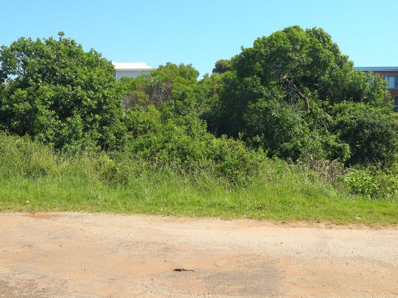 A view of a vacant residential plot featuring mature trees and natural vegetation, accessible via an unpaved road.