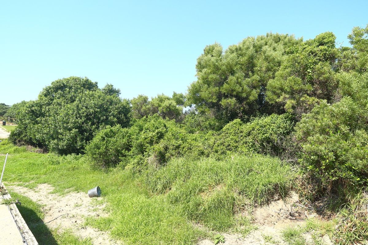 A view of a vacant residential plot featuring natural vegetation and grass cover.
