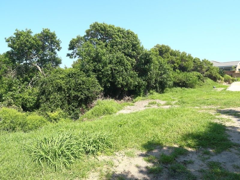 A view of the vacant residential land featuring established trees, natural grass cover, and a partial view of a neighboring retaining wall.