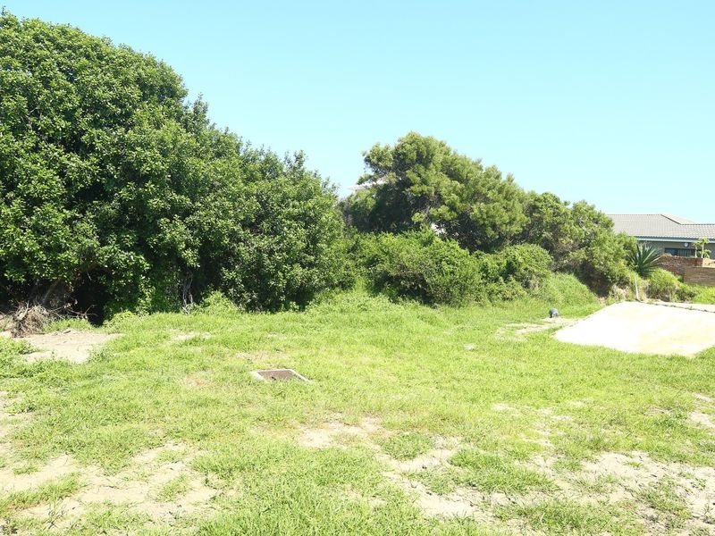 A vacant residential plot featuring established trees, a concrete driveway apron, and a brick retaining wall, offering potential for future development.