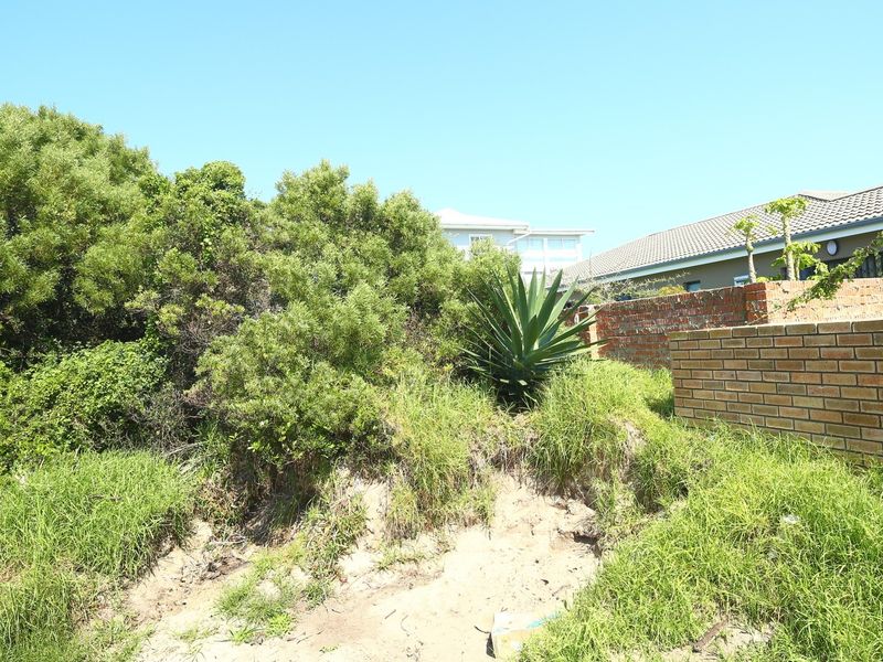 A view of the rear section of the residential vacant land, featuring a brick boundary wall and a timber pergola structure.