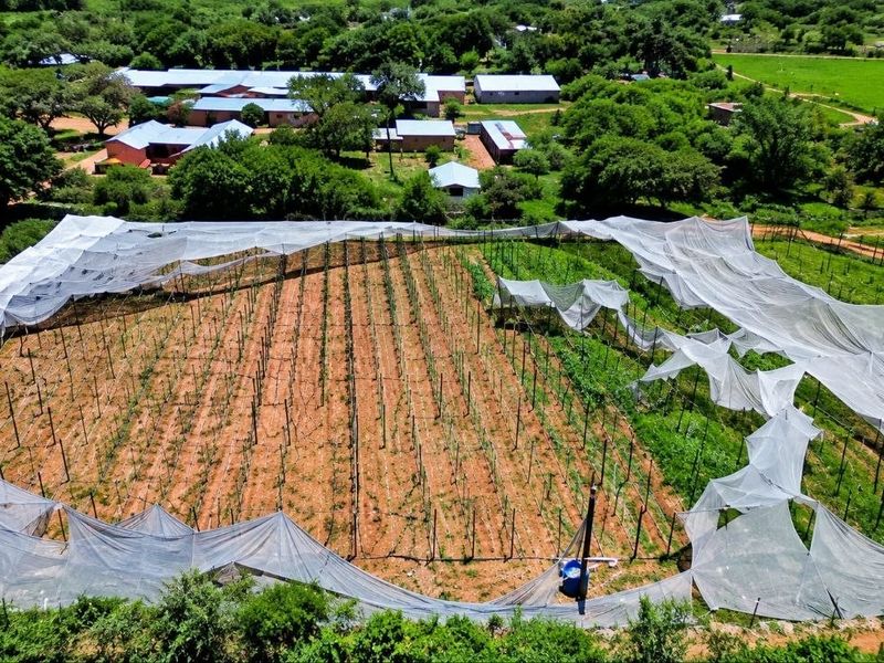 Aerial view of a farm plot featuring a trellis system protected by extensive agricultural netting, set within a rural landscape.