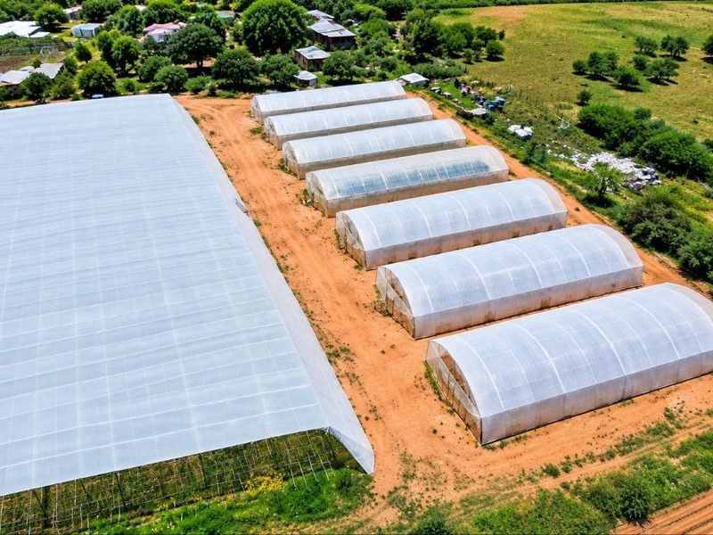 Aerial view of a farm property featuring multiple large-scale greenhouses and poly-tunnels for agricultural production.