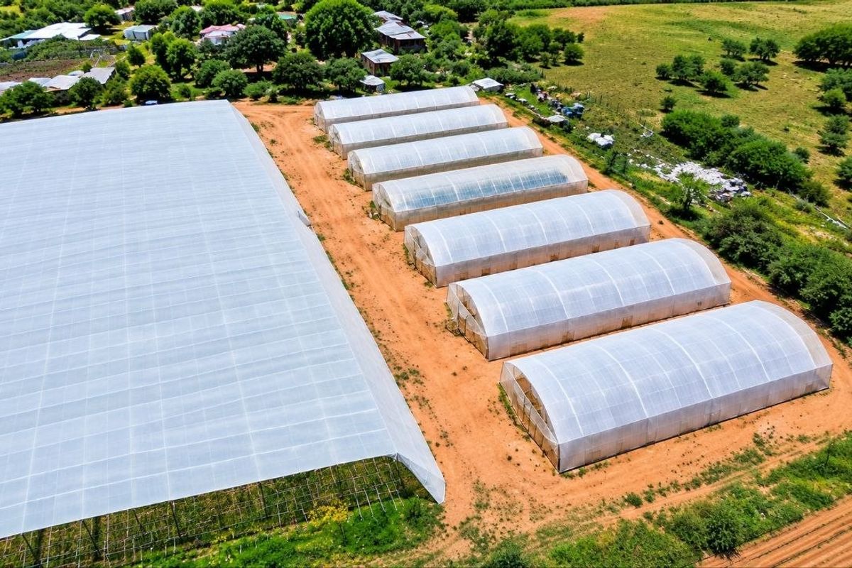 Aerial view of a farm property featuring multiple large-scale greenhouses and poly-tunnels for agricultural production.