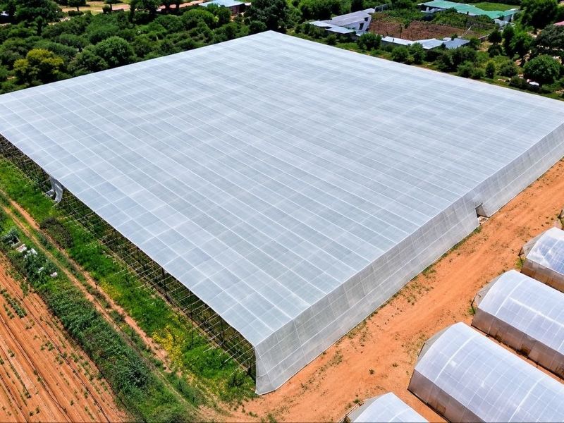 Aerial view of a large-scale agricultural facility featuring a expansive netted structure and multiple tunnel greenhouses set within a rural farm landscape.