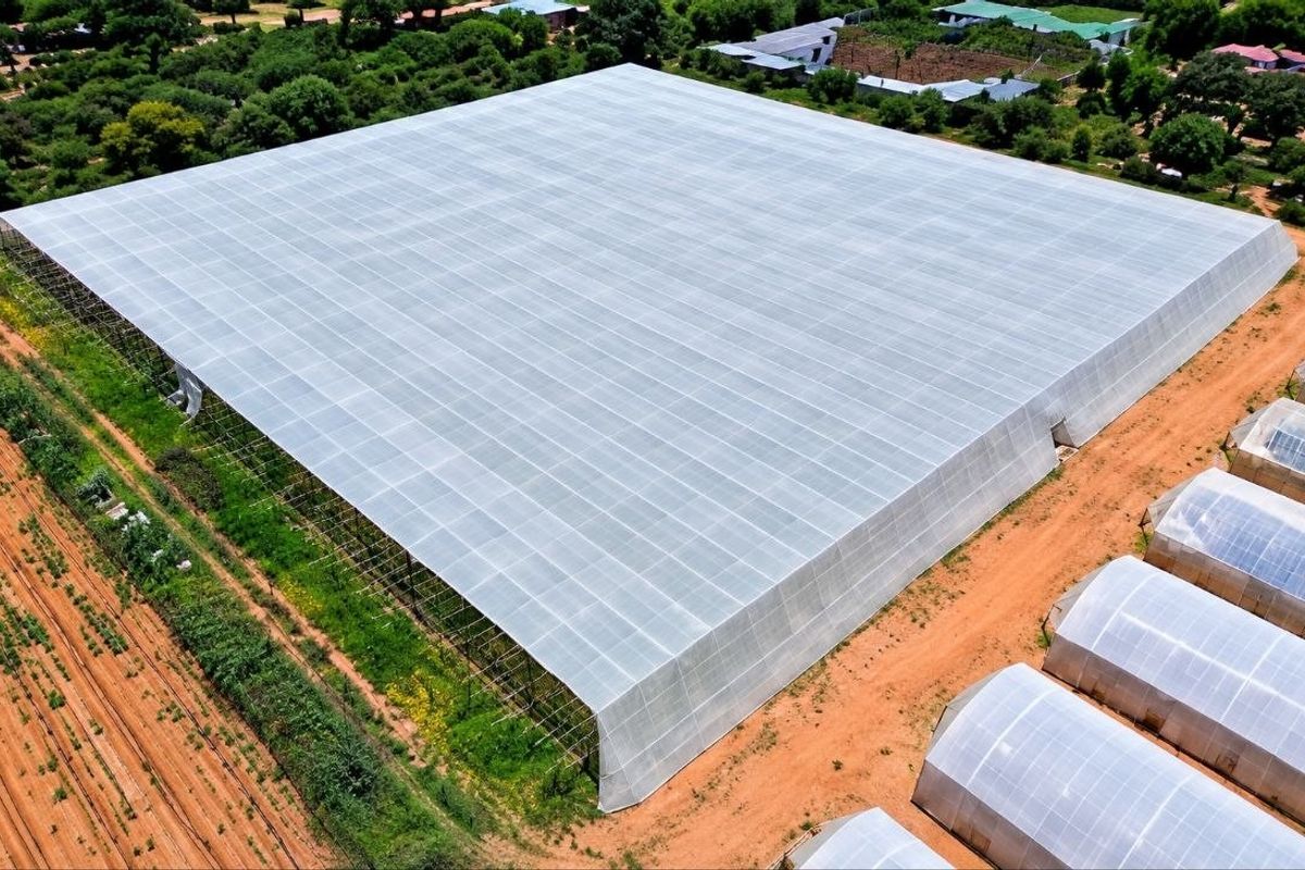 Aerial view of a large-scale agricultural facility featuring a expansive netted structure and multiple tunnel greenhouses set within a rural farm landscape.