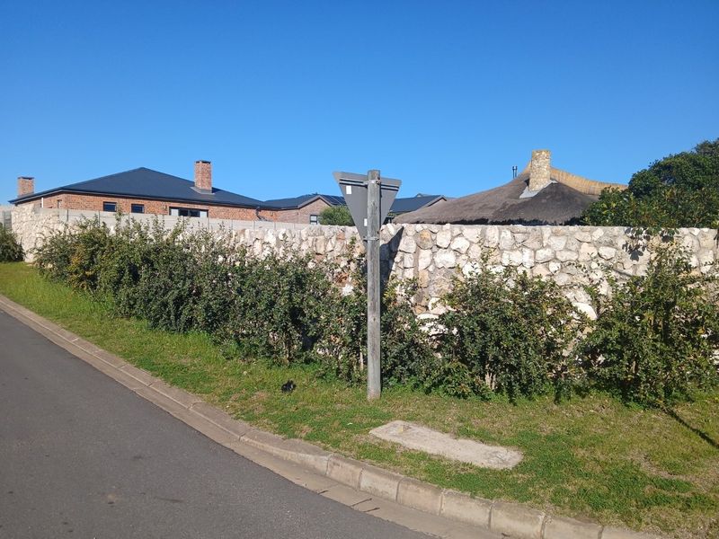 Street view showing the paved road, concrete curb, and a stone boundary wall bordering the residential property.