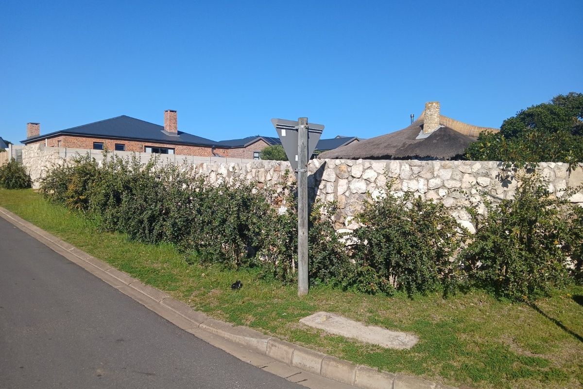 Street view showing the paved road, concrete curb, and a stone boundary wall bordering the residential property.
