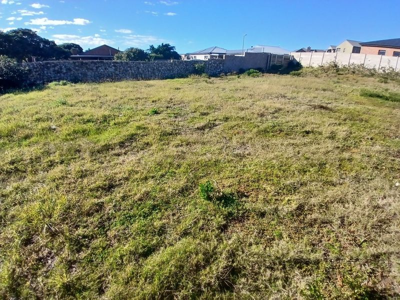 A vacant residential plot featuring natural grass coverage and established stone and concrete boundary walls.
