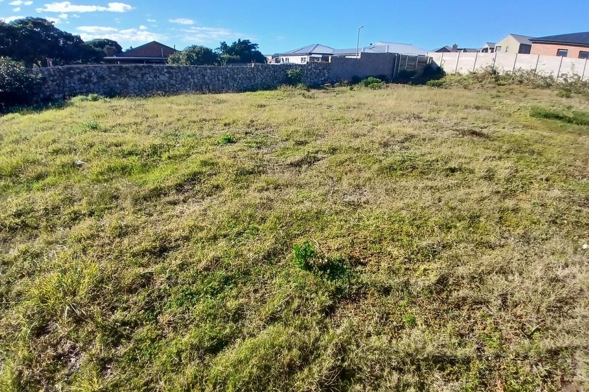 A vacant residential plot featuring natural grass coverage and established stone and concrete boundary walls.