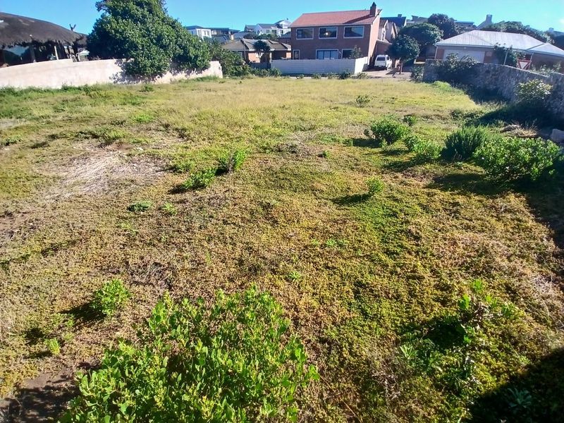 A vacant residential plot featuring natural ground cover and established stone and concrete boundary walls, situated in a developed neighborhood.