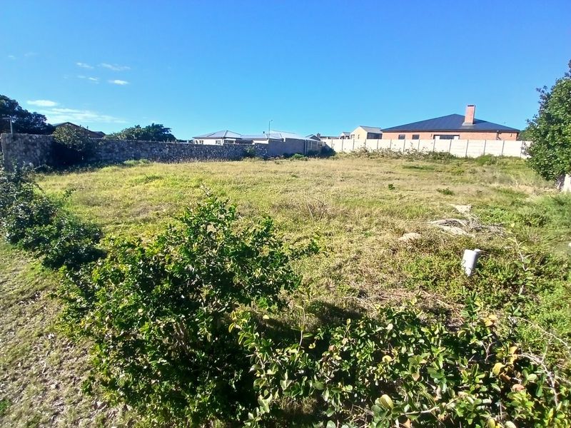 A vacant residential plot featuring established boundary walls and natural vegetation, offering a clear space for future development.