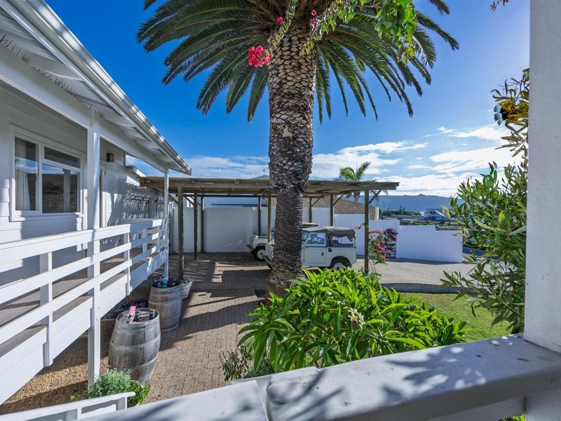 A covered timber balcony overlooking a paved outdoor area with a pergola, mature palm tree, and boundary wall.