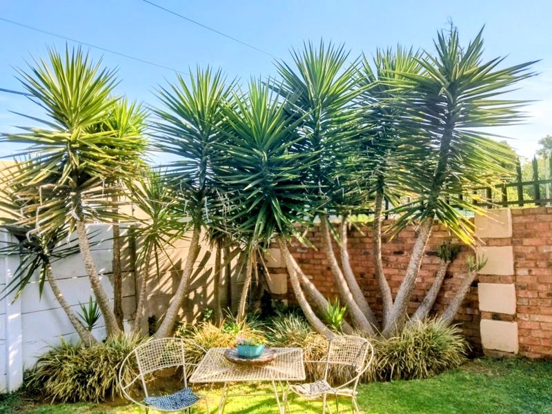 A private garden area featuring mature yucca plants against a brick boundary wall with iron fencing.