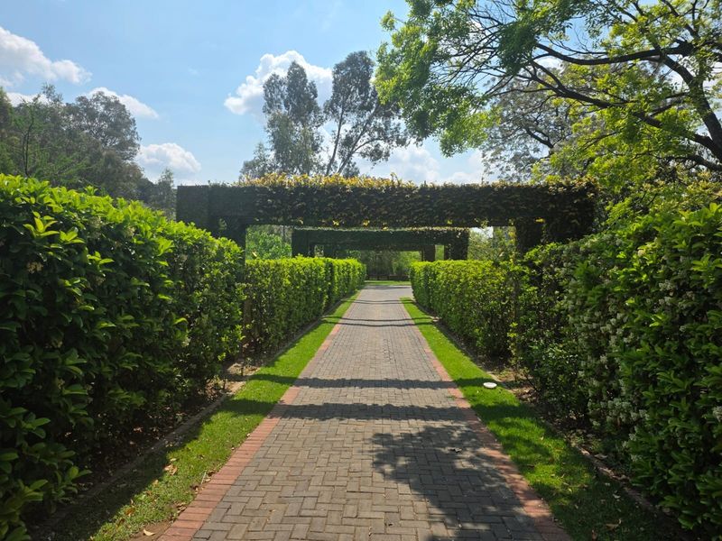 A well-maintained garden path featuring a brick walkway lined with manicured hedges and an overhead pergola structure.