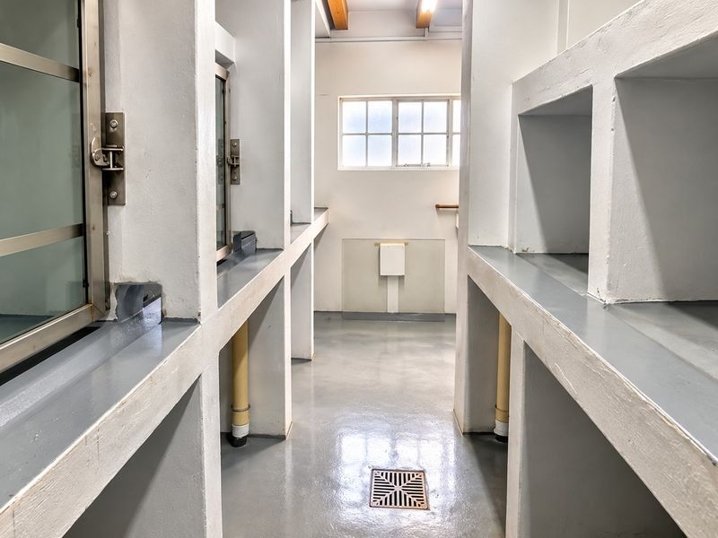 A functional utility space featuring built-in concrete shelving, a floor drain, and a window, suitable for storage or specialized work areas.