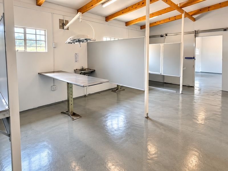 A clean, functional utility space featuring epoxy flooring, exposed timber beams, stainless steel fixtures, and adjustable partition walls, suitable for clinical or specialized commercial use.