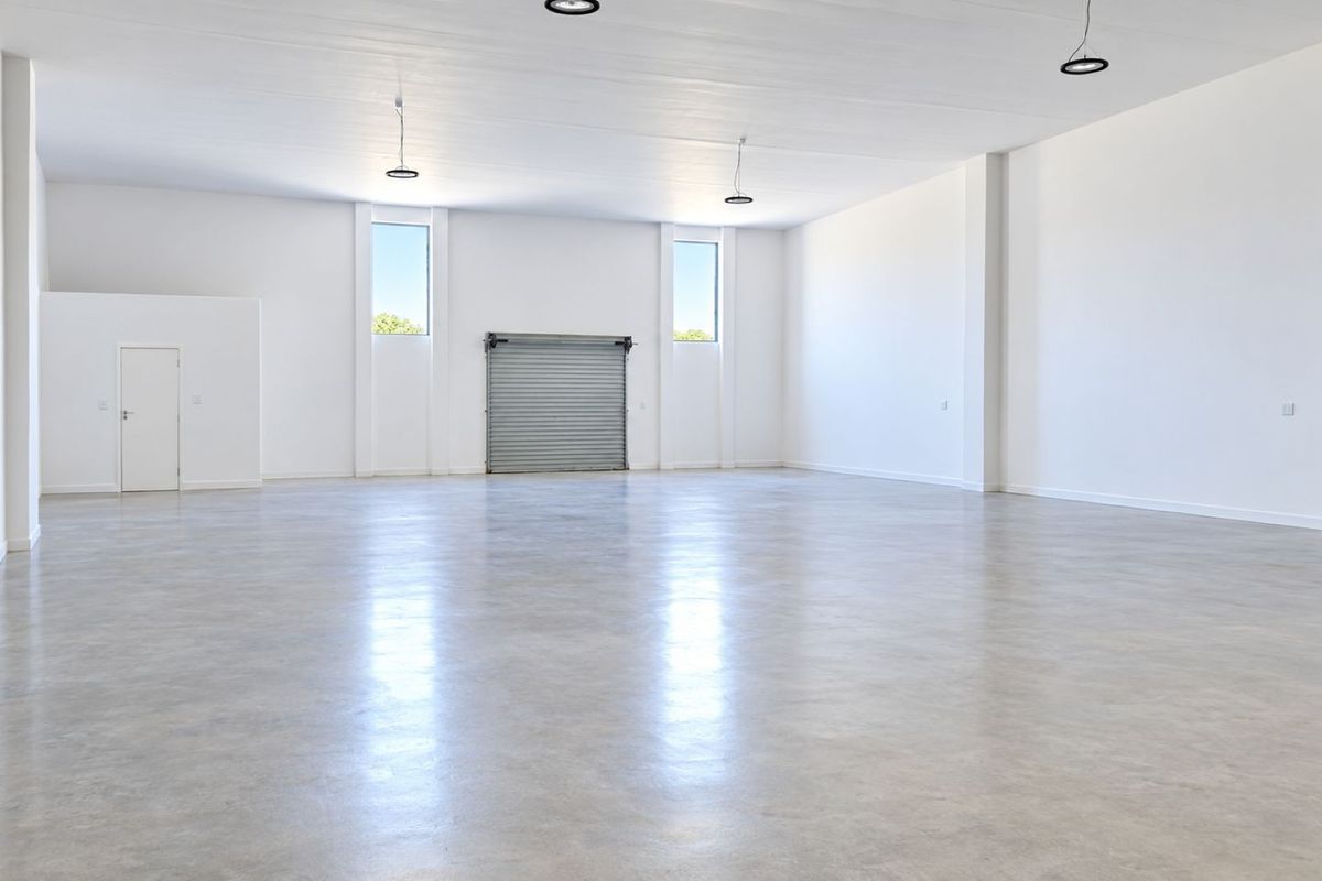 Spacious open-plan commercial unit featuring polished concrete floors, high ceilings, recessed lighting, and a secure roller shutter door.