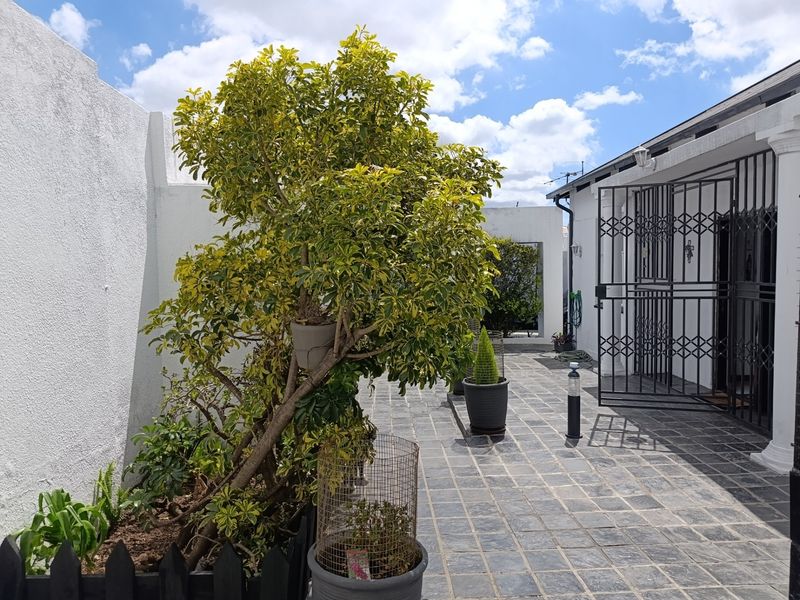 A paved rear patio area featuring a security gate, boundary walls, and established garden elements.