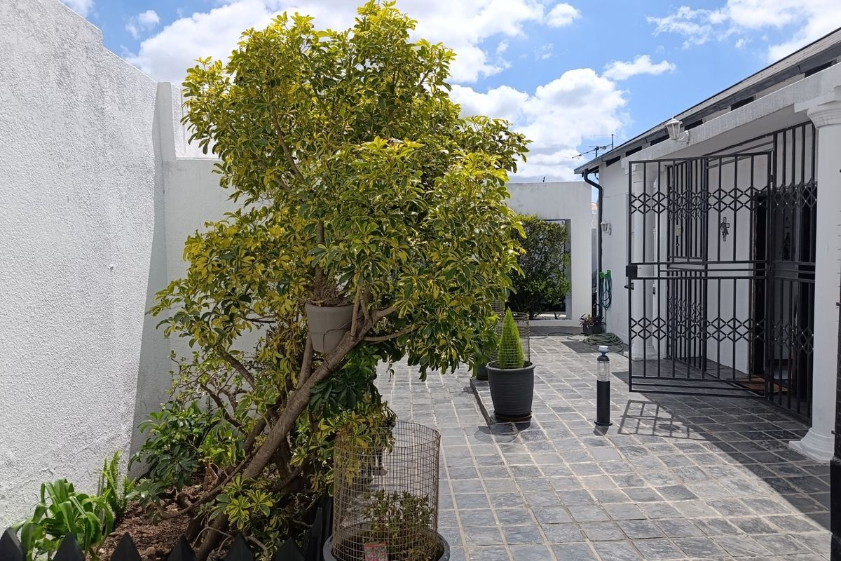 A paved rear patio area featuring a security gate, boundary walls, and established garden elements.