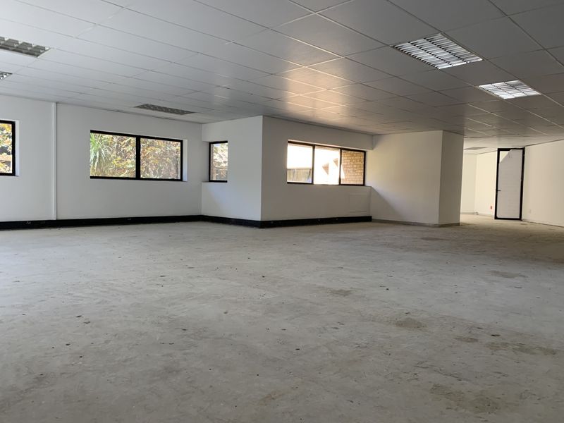 Spacious open-plan commercial office area featuring a suspended ceiling, recessed lighting, and large windows, currently presented as a blank canvas ready for custom fit-out.