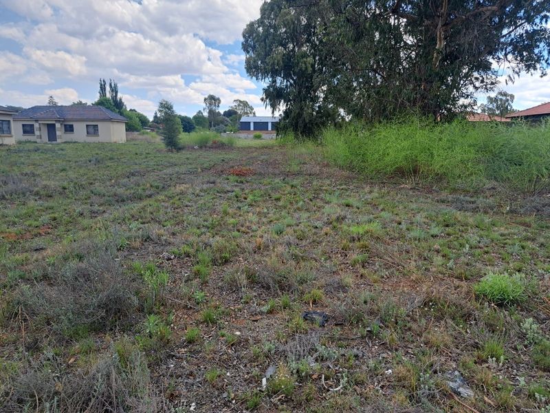 A view of a vacant residential plot featuring natural vegetation and mature trees, offering a blank canvas for future development.