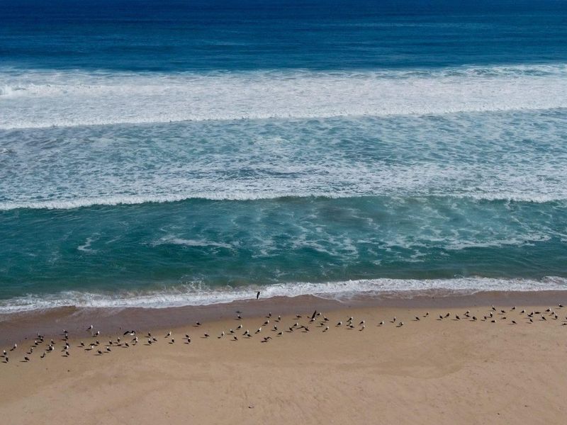 A scenic aerial view of the sandy beach and ocean waves.